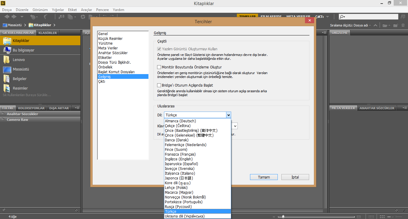 Adobe Bridge CS6 Türkçe yama 1. ekran görüntüsü